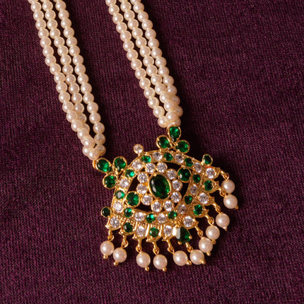Shivansh Tanmani