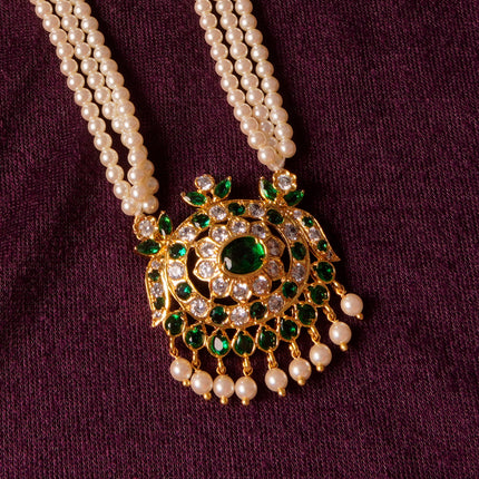 Shivkala Tanmani